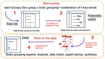 Belowground Biodiversity Relates Positively to Ecosystem Services of European Forests